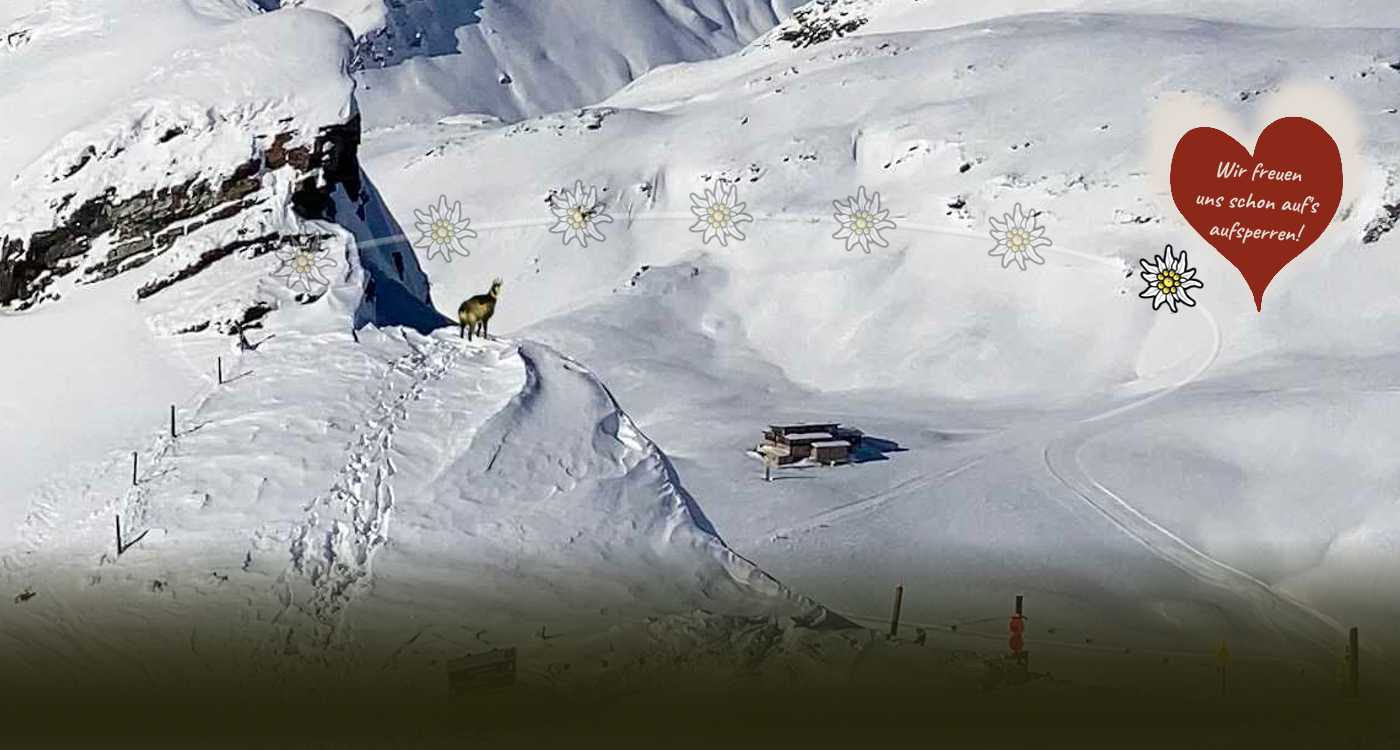 <b>Bergerlebnis im Winter</b><p>Schifahren <font color="#FFFFFF">-</font>  Snowboarden  <font color="#FFFFFF">-</font>  Schneeschuhwandern</p>